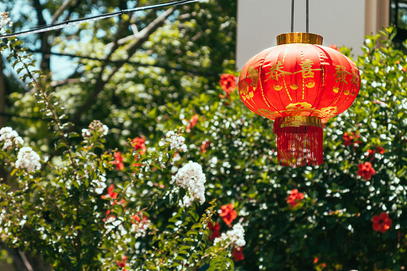 树上挂着中国红灯