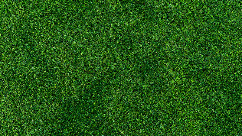 小山上绿油油的草地，与世隔绝