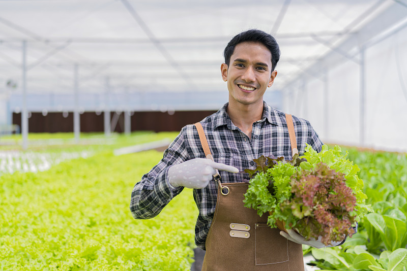 亚洲小企业主大棚水培农场业主手握新鲜蔬菜收获绿色产品与快乐，种植有机蔬菜和健康食品的概念