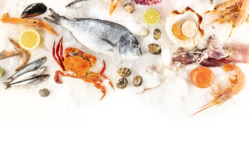 鱼和海鲜，上方拍摄的白色背景与复制空间。海鲷、扇贝、蟹、沙丁鱼、鱿鱼、蛤等