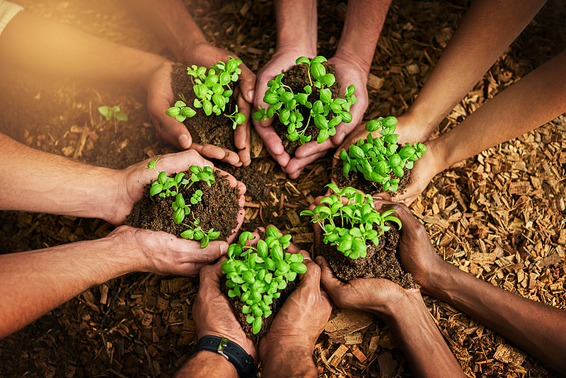 为绿色事业共同努力