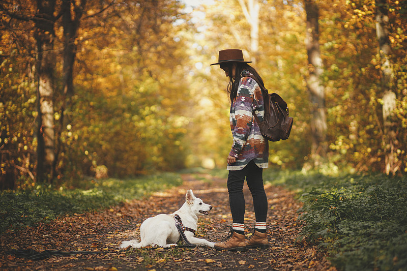 时尚的女旅行者戴着帽子，背着背包，带着可爱的小狗站在阳光明媚的秋天的树林里。年轻的女性嬉皮士探索森林与瑞士牧羊犬白狗。和宠物一起旅行和远足
