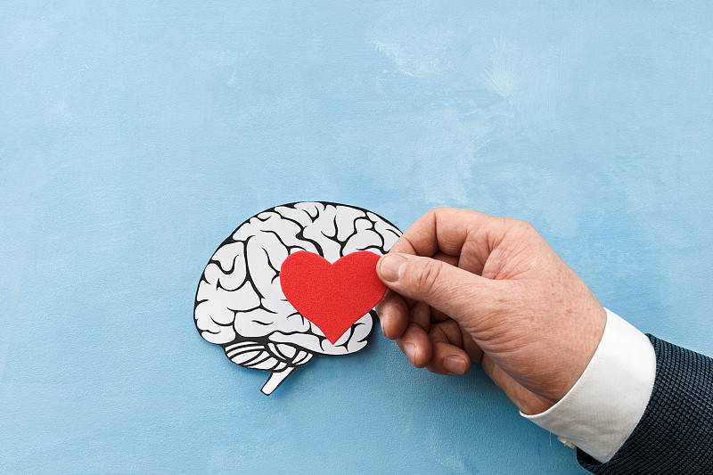 人类的大脑和蓝色背景下形状中的一颗红色心脏。爱的象征坠入爱河或陷入爱河或情绪的象征。