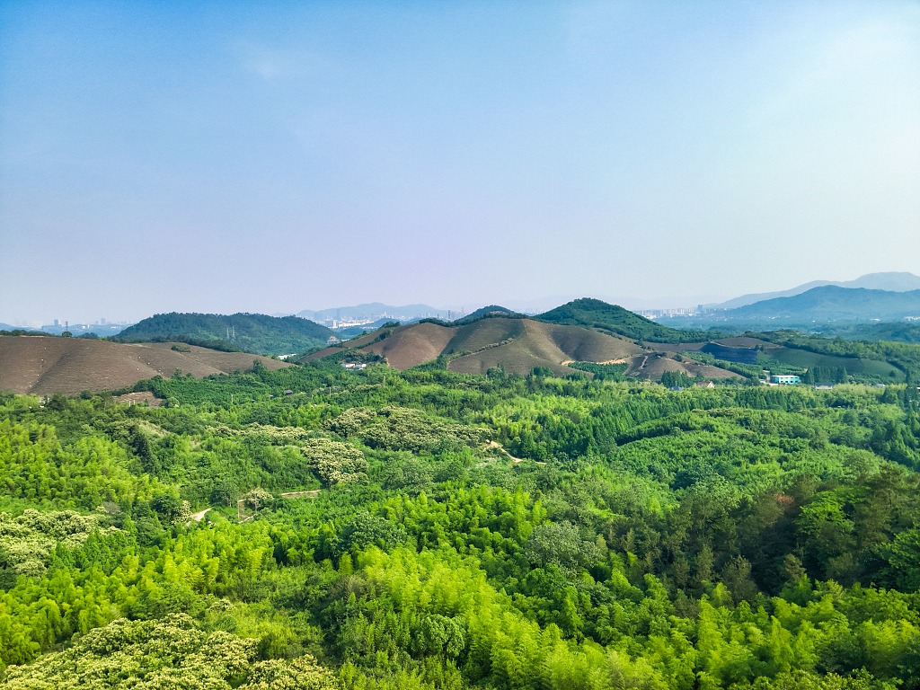 莫干山绿色生态自然环境