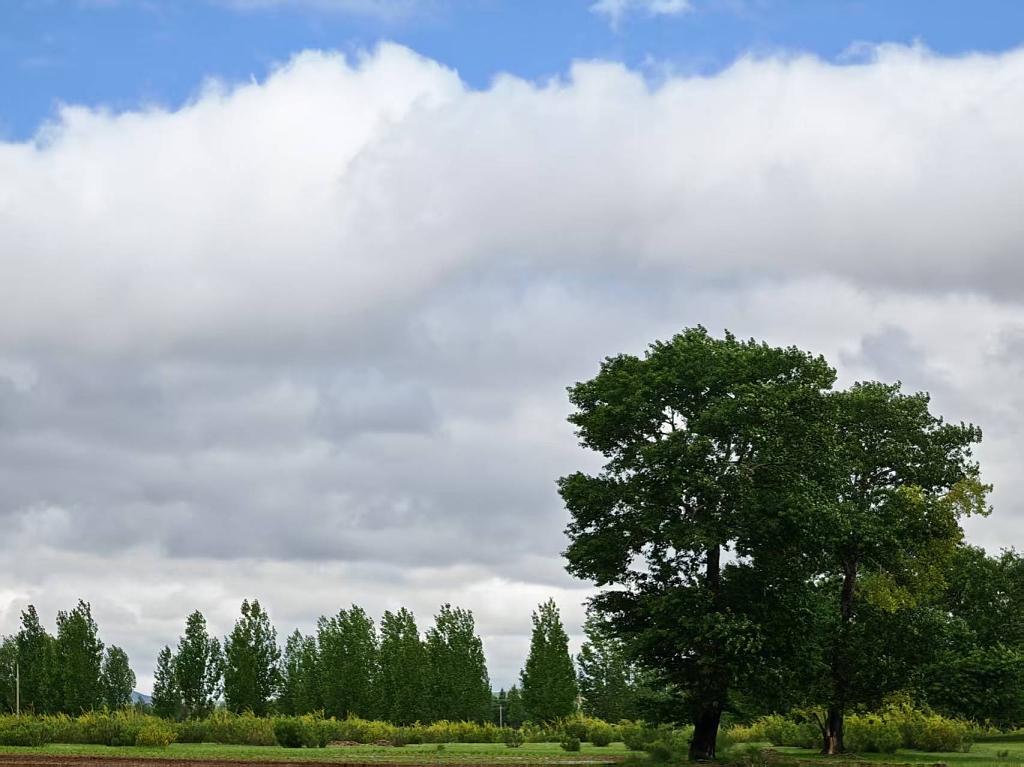 蓝天、白云、草地、清新自然、自然风景、大自然、美丽、夏天