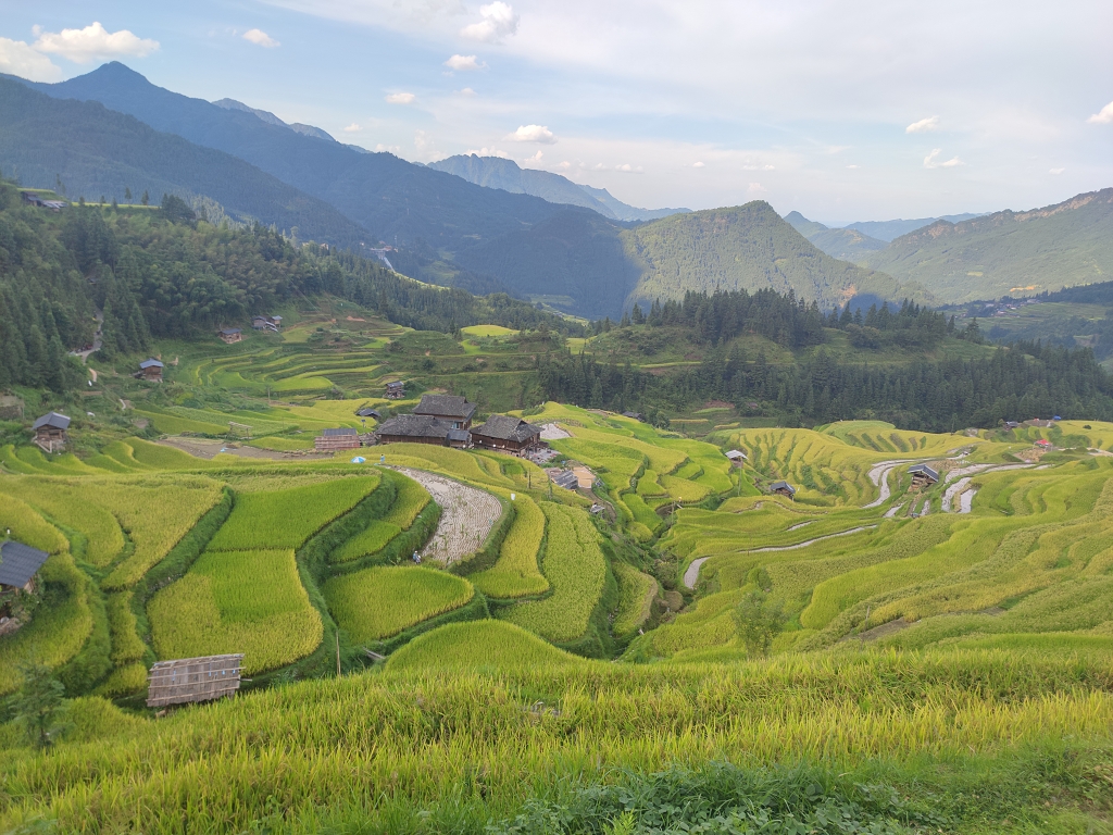 贵州加榜梯田进秋美景大山之中农民佳作