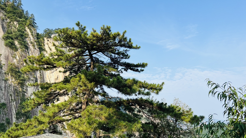 陕西省渭南市华阴县华山景区华山