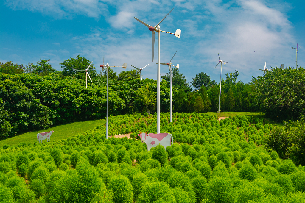 风力发电与自然景观