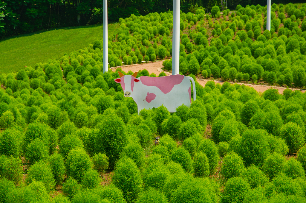 风力发电与自然景观