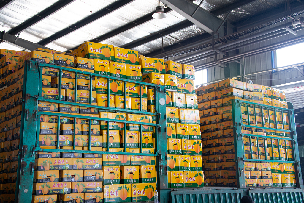 水果运输车辆正在卸货