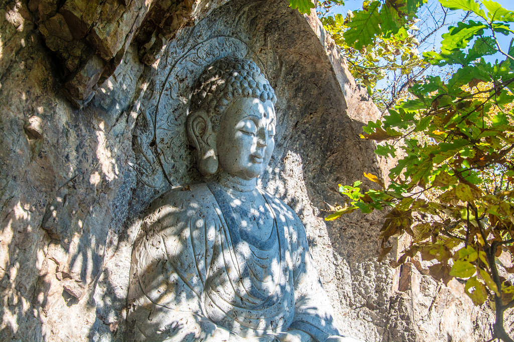 风景区中的佛像石雕