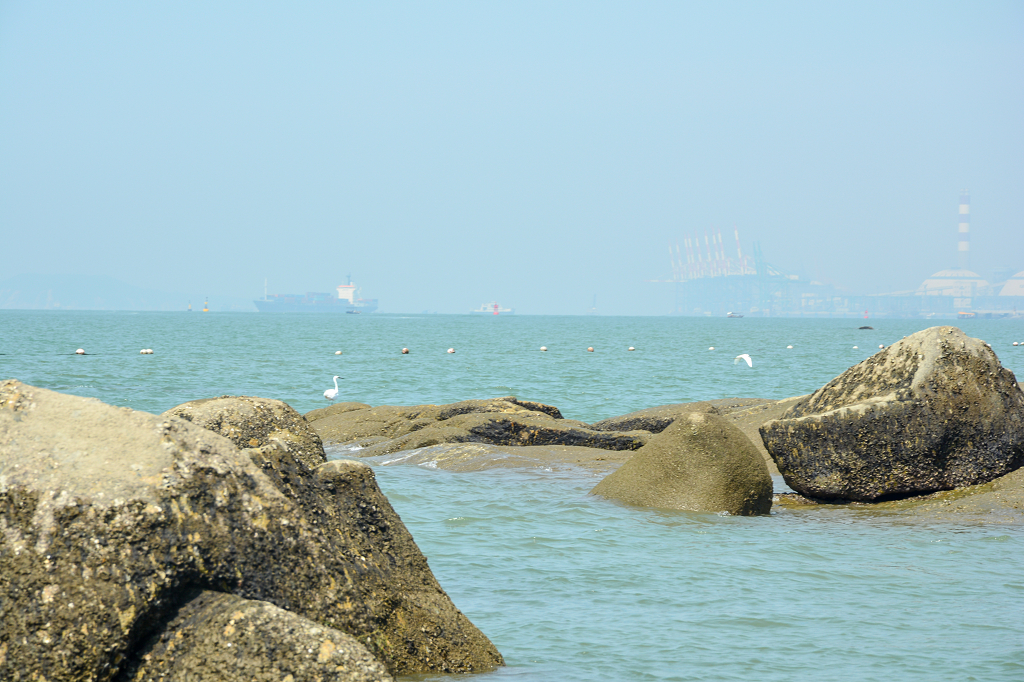 厦门夏季海边风光