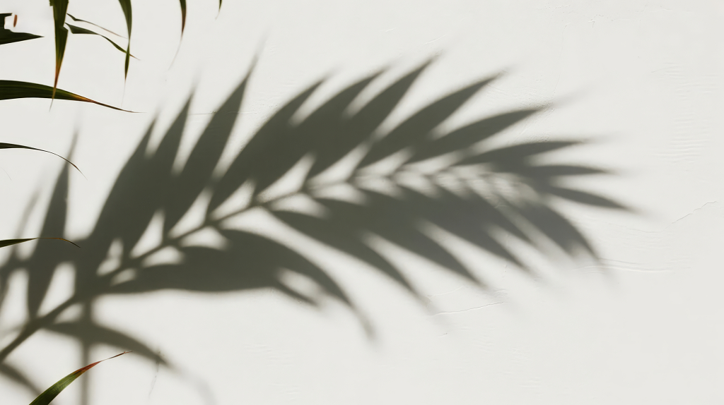 处暑节气树叶光影简约护肤品广告背景图