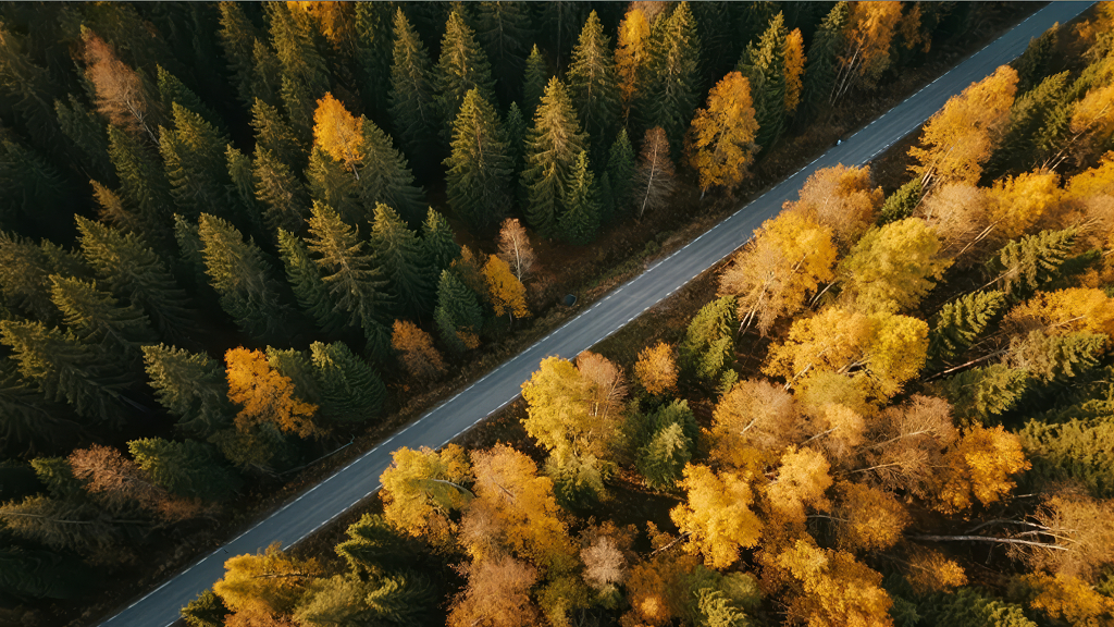 秋分节气公路旅行航拍秋景旅游宣传背景