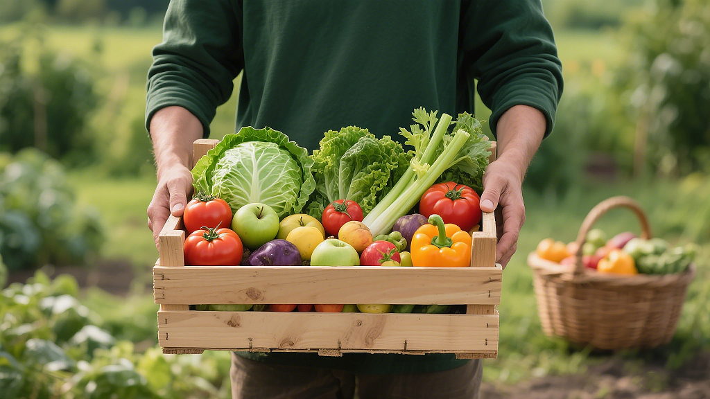 丰收季新鲜果蔬农场农民手持装满各种新鲜果蔬的木箱背景是菜园