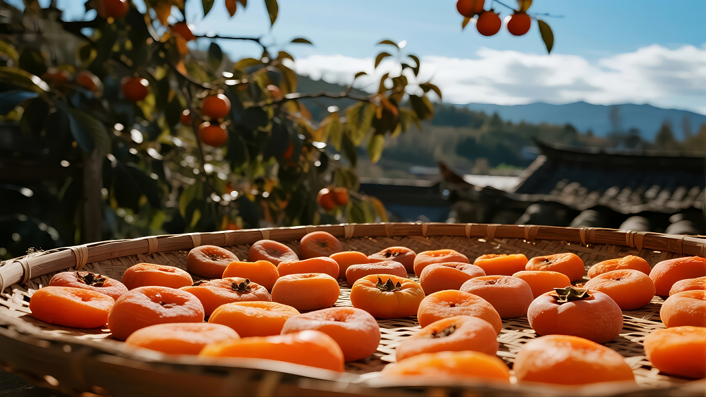 晒柿饼丰收传统美食秋季生活场景