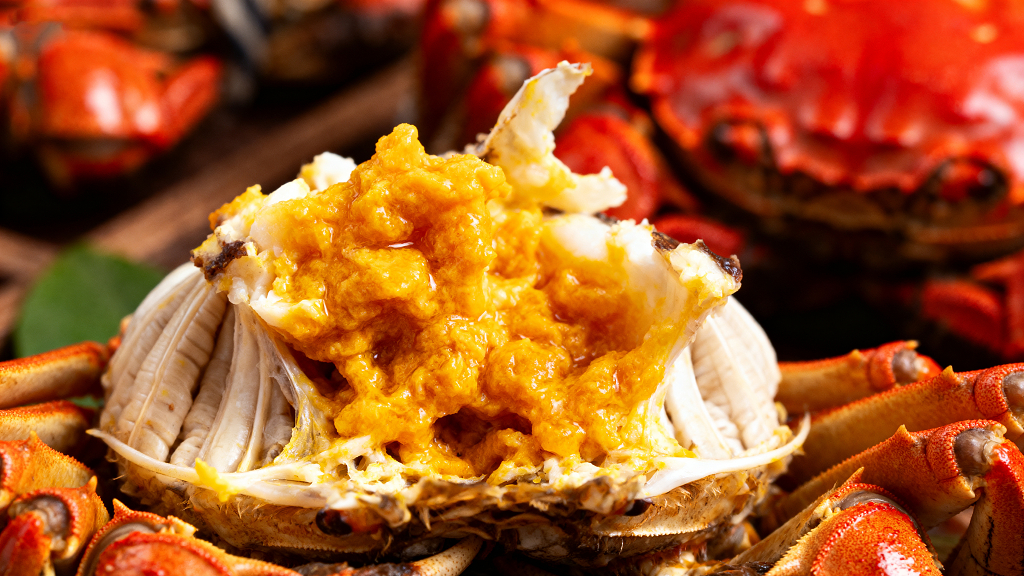 一只美味的大闸蟹特写蟹黄满满