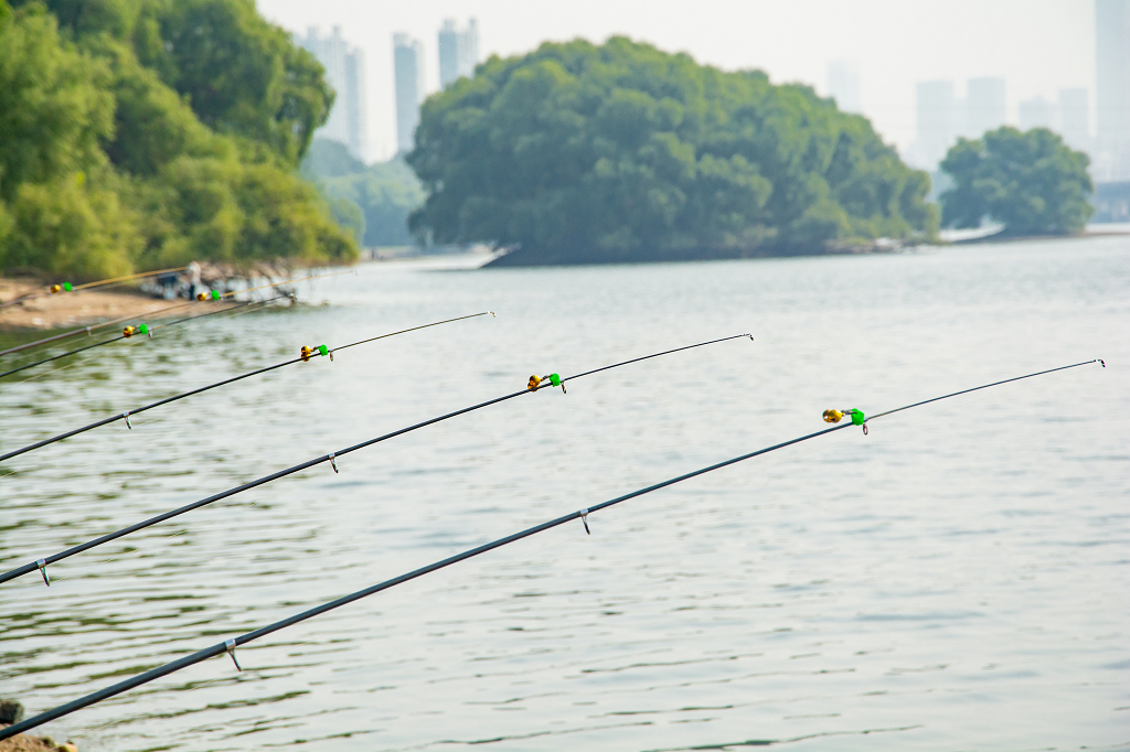夏天河边钓鱼鱼竿特写