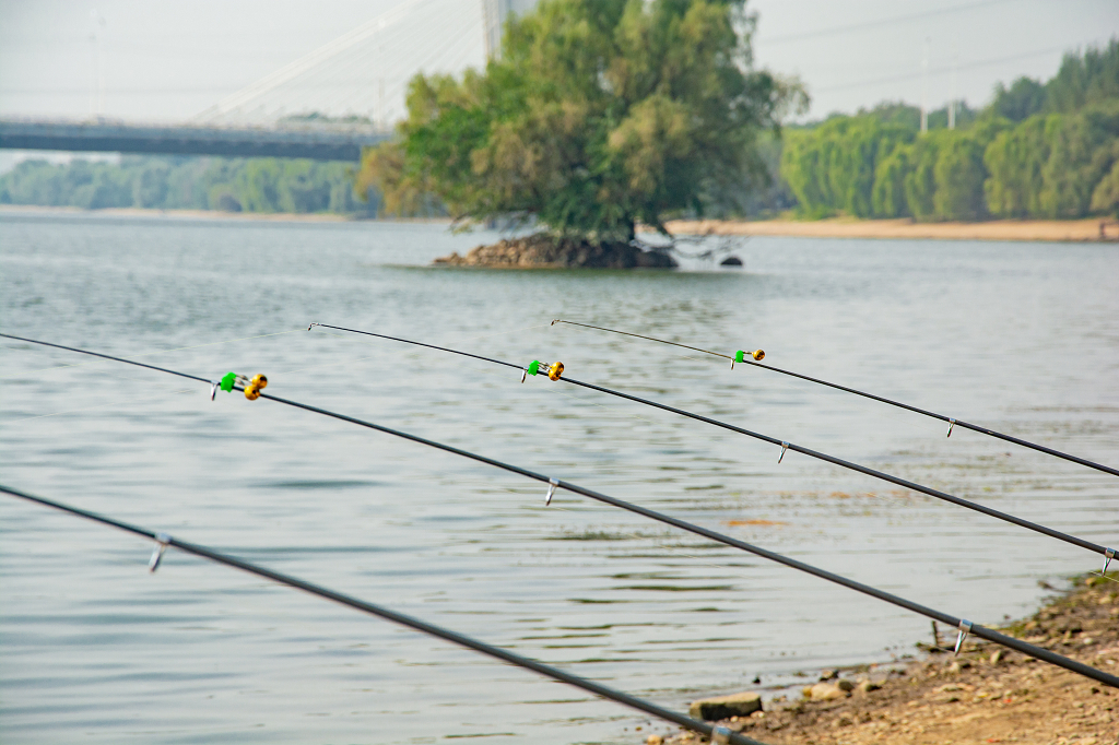 夏天河边钓鱼鱼竿特写