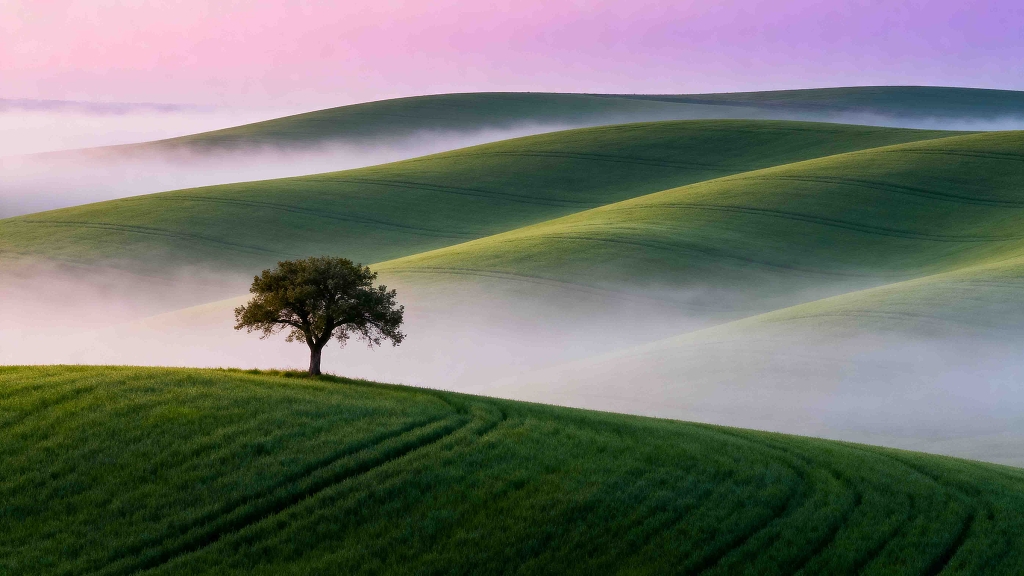 田野风光风光摄影大长角