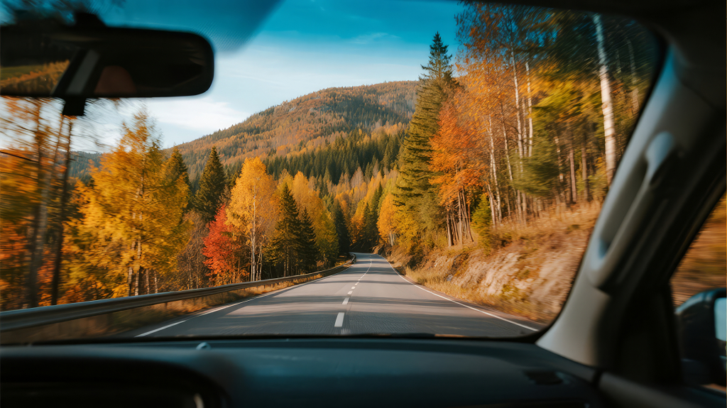 秋季自驾游穿行山林第一视角背景