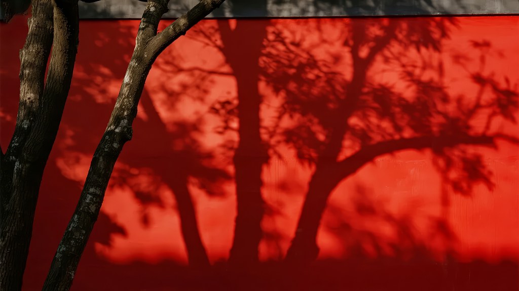 国庆节红墙下的婆娑树影充满中式意境