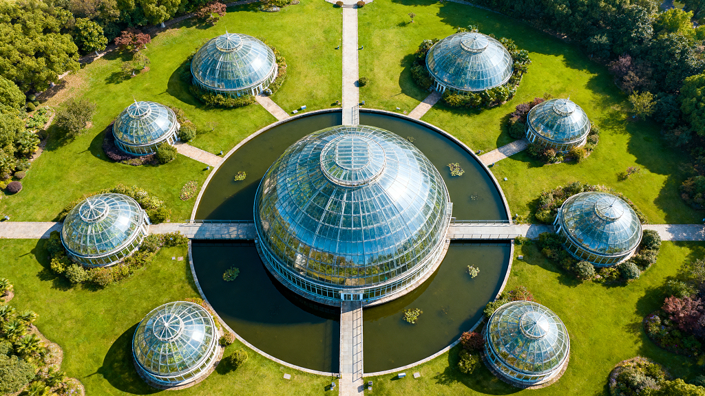 上海植物园上海景点素材植物园温室景观素材