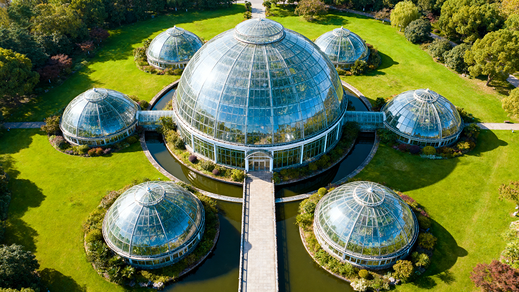 上海植物园温室全景玻璃穹顶