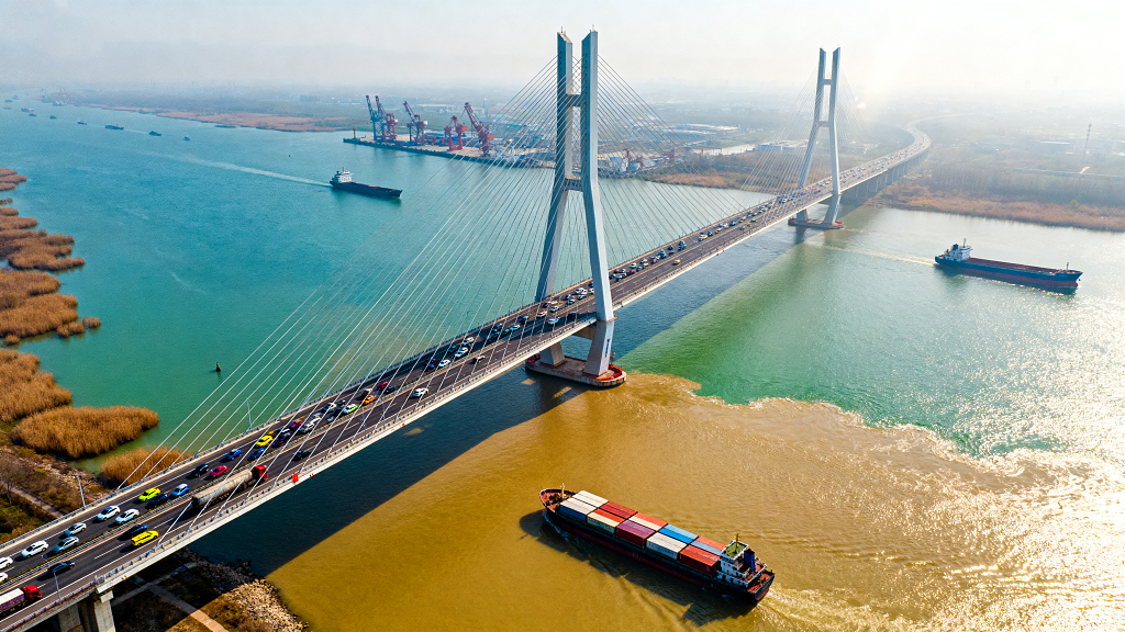 黄浦江入海口跨江大桥全景