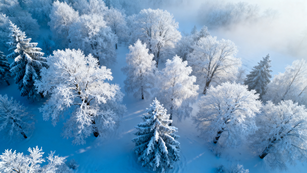 冬日雪景雪景冬季雪景