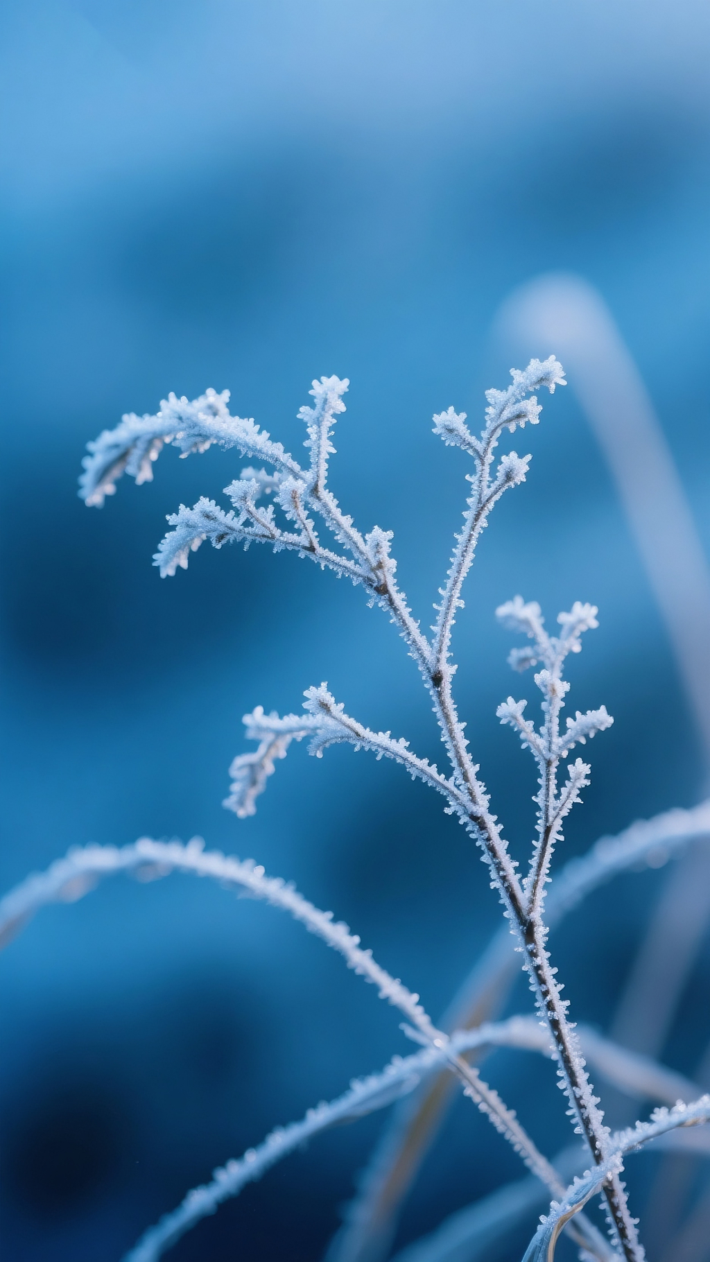 二十四节气底图