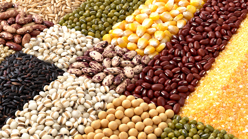 收天丰收的景象各种粮食果实