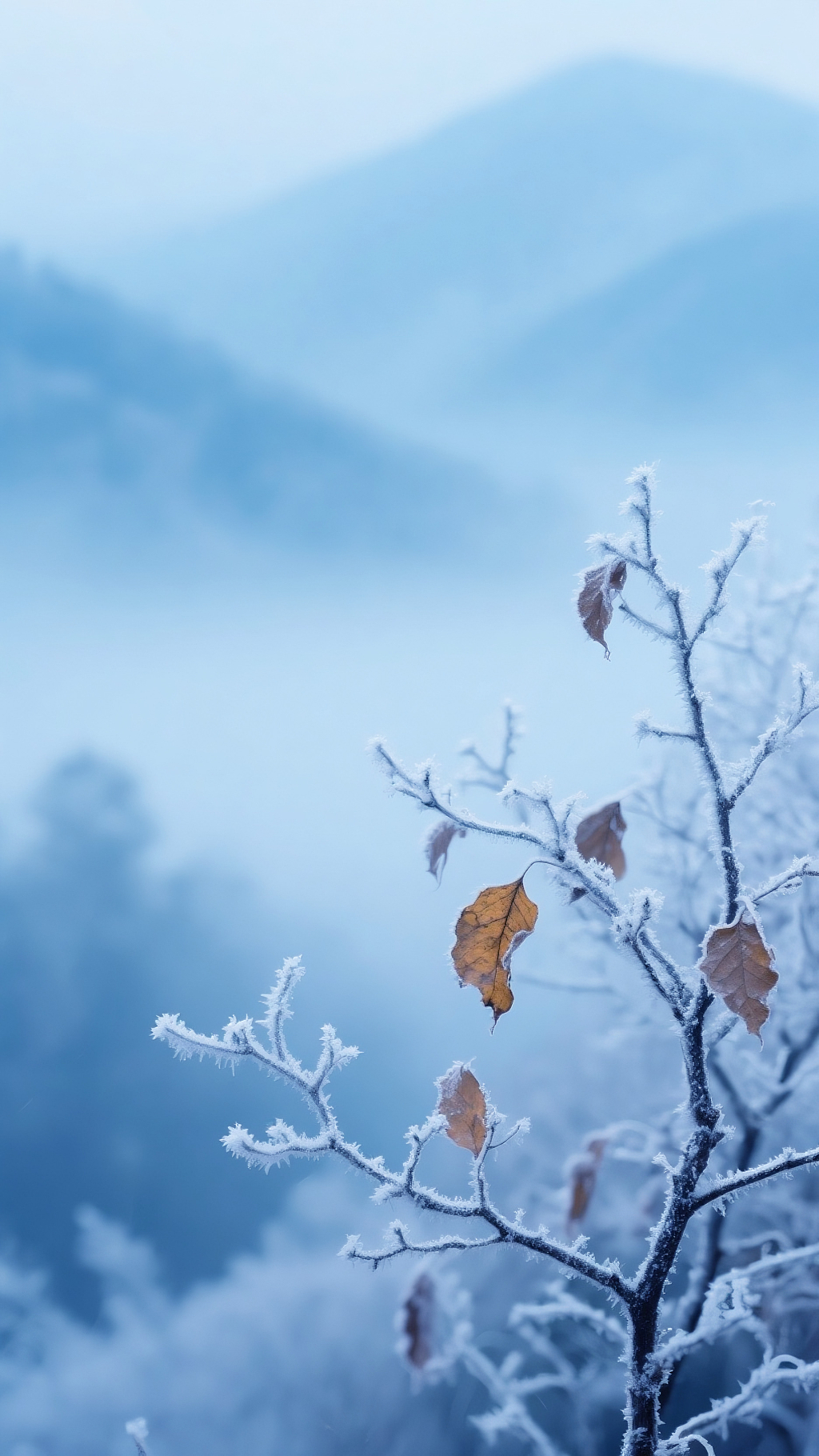 冬日雾凇枝头霜花二十四节气小雪底图