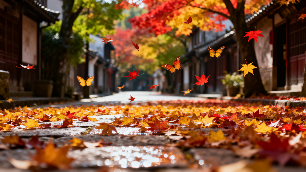 秋天枫叶红叶秋景落叶