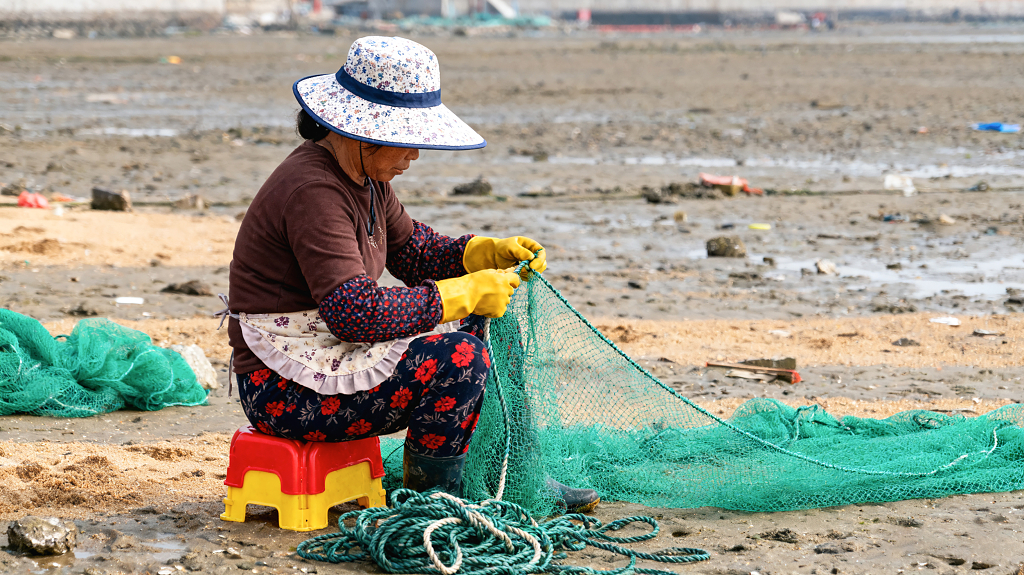 正在海边滩涂区域整理渔网的女性妇女形象渔民渔农渔村劳作氛围