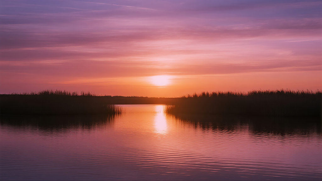唯美风日出时分湿地高清风景图