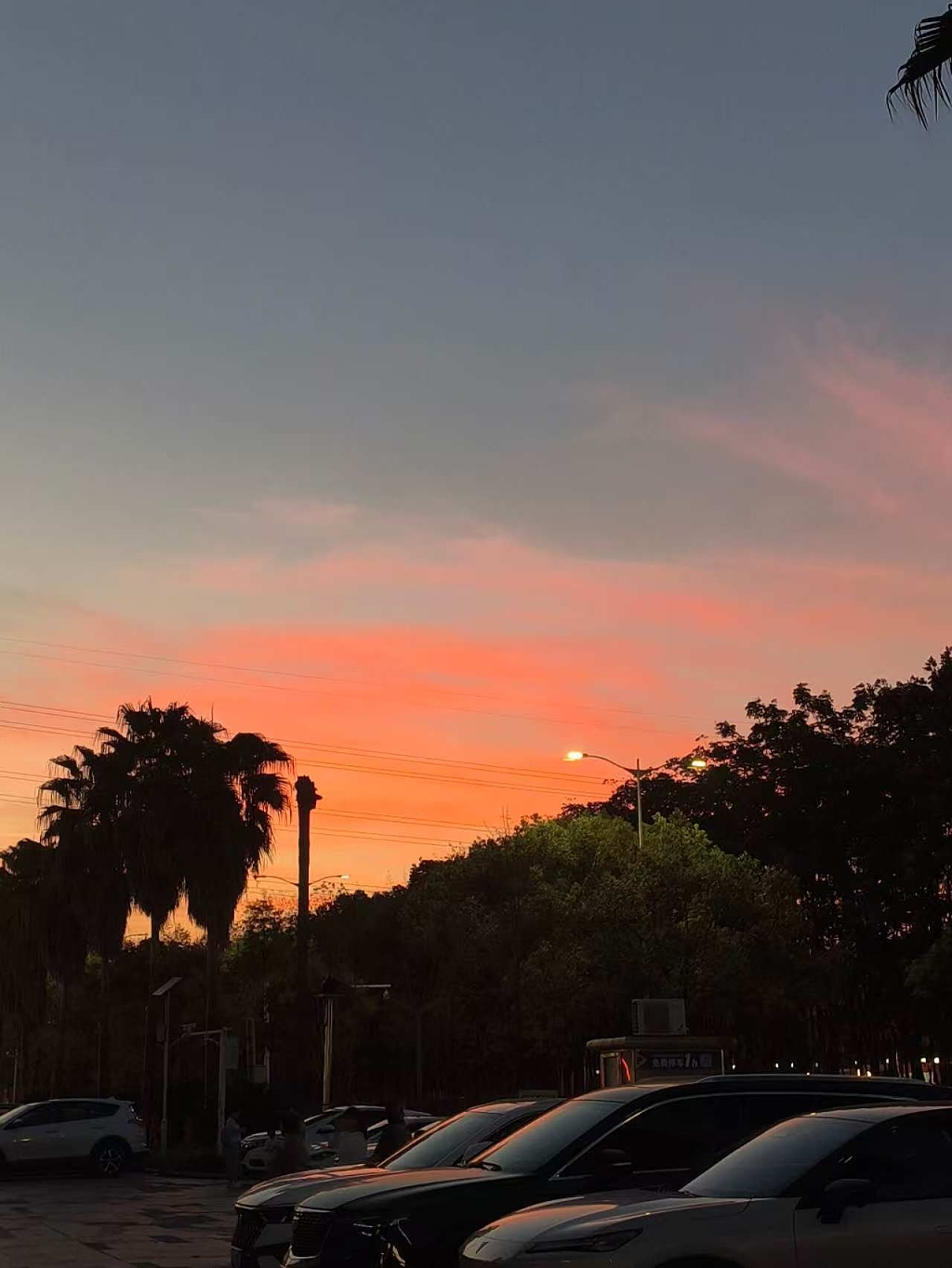 粉色晚霞是太阳最后的留恋