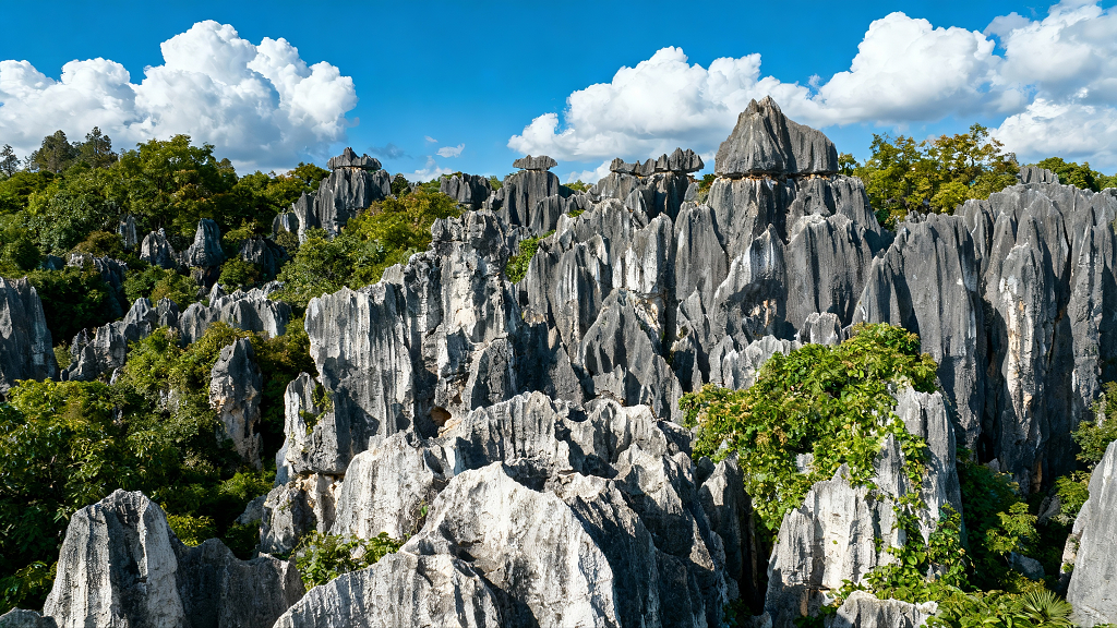 云南石林喀斯特地貌