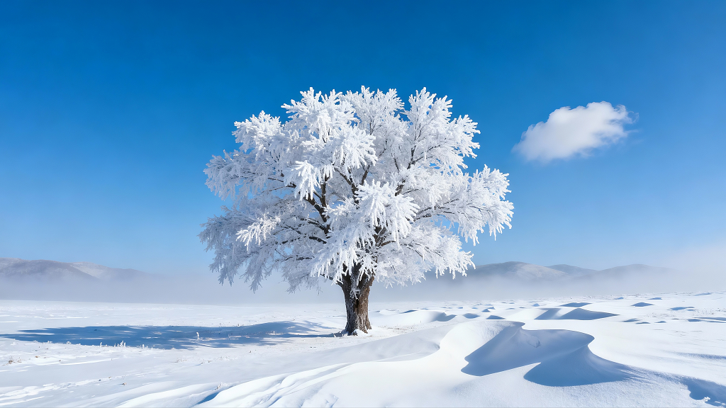 中国吉林雾凇岛