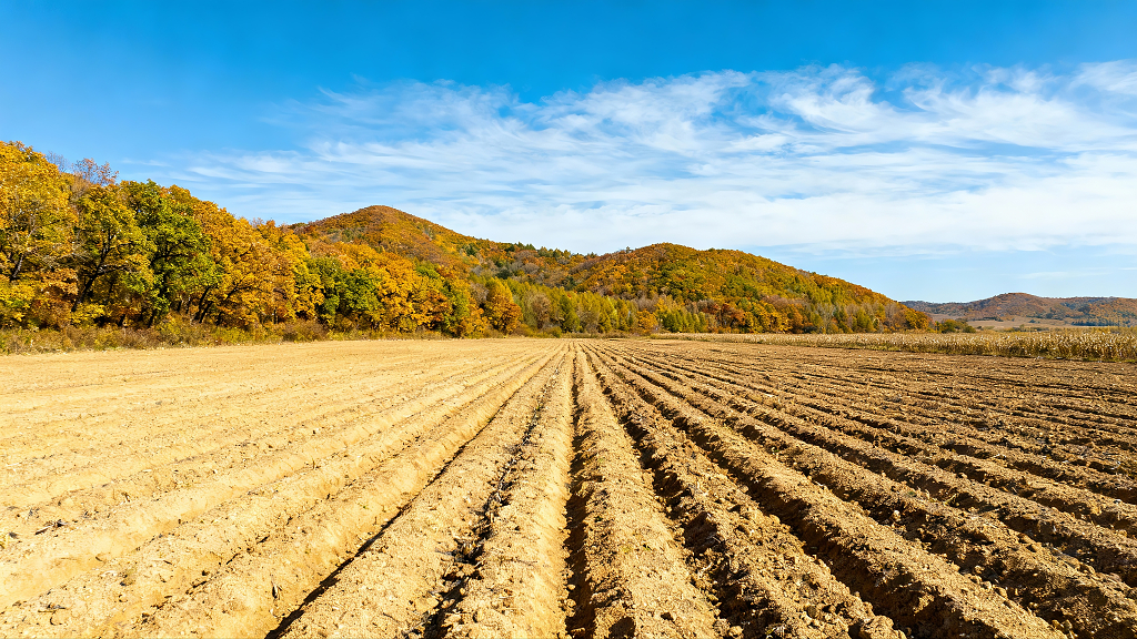 辽宁本溪秋日农田