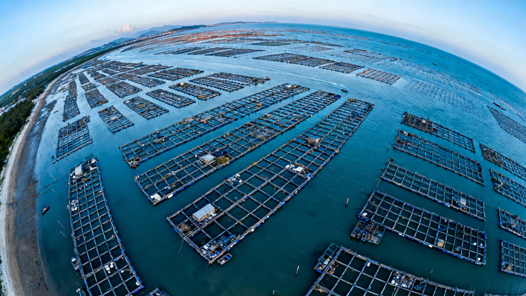 航拍壮观海上养殖场渔业发展背景图