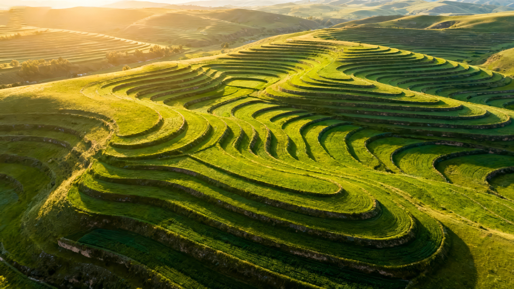 航拍梯田日出山峦的壮美风光图
