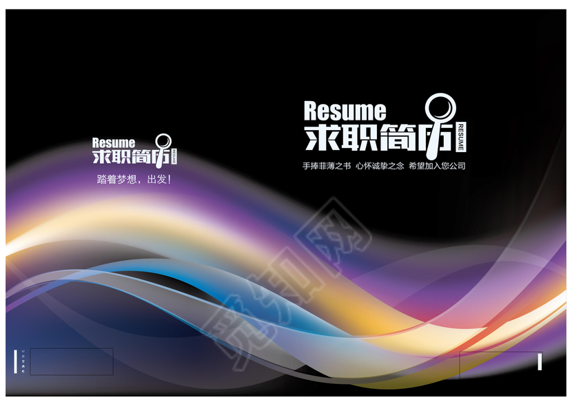 创意高端黑彩色线条毕业生简历