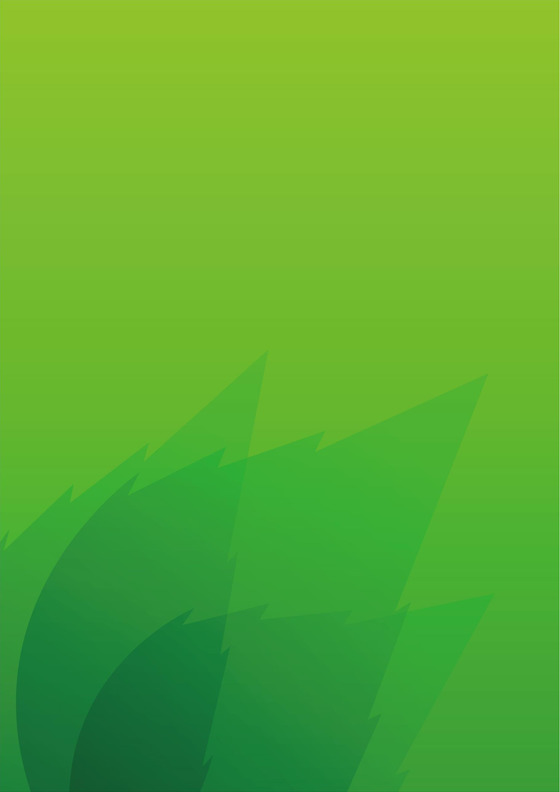 绿色清新信纸信封设计