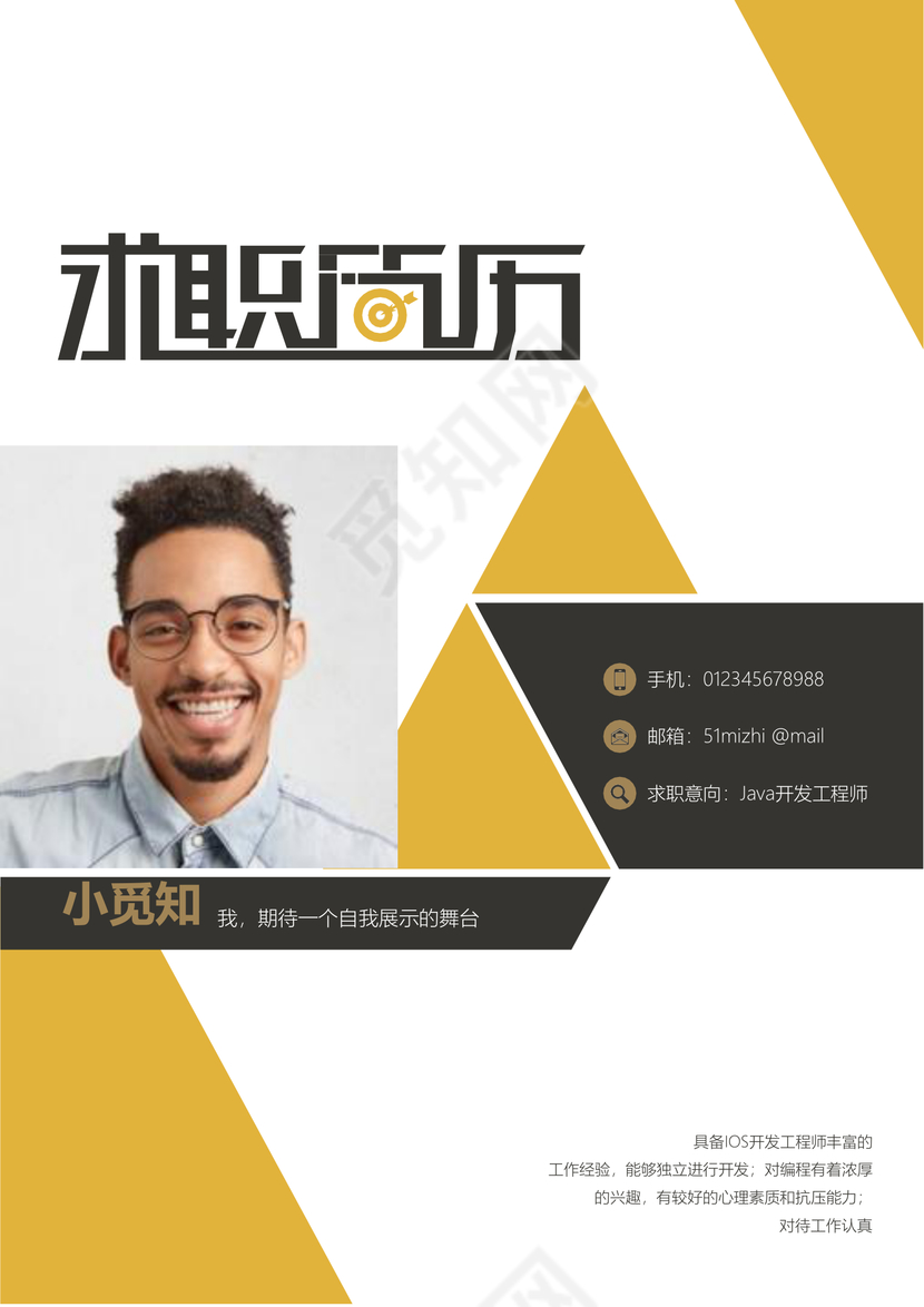 色块简洁风个人JAVA开发工程师程序员成套Word简历模板