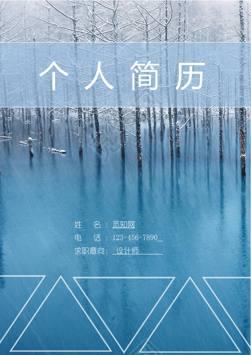 雪花纷飞风格个人简历封面word简历模板
