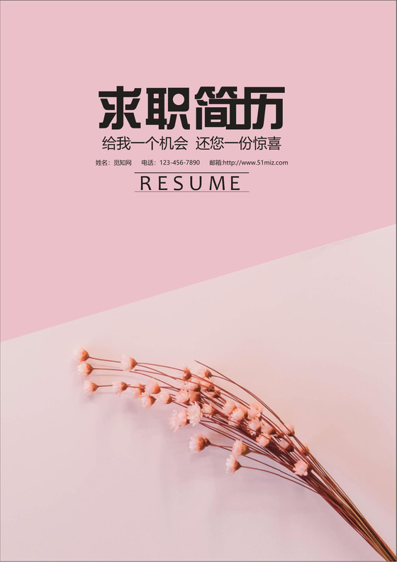 时尚现代花朵求职简历封面word简历模板
