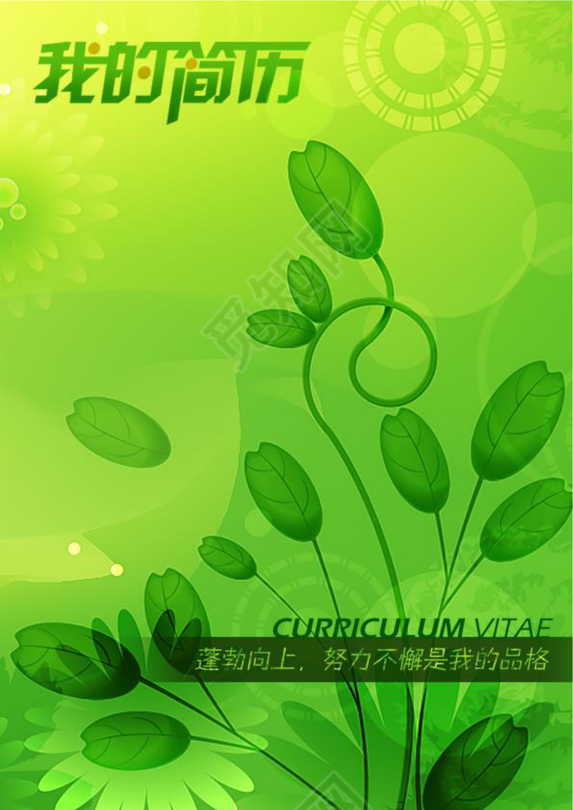 带封面空白表格Word个人简历