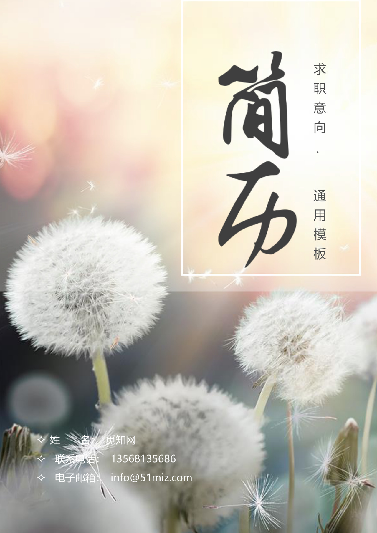 应届毕业生春招外贸销售行业个人简历