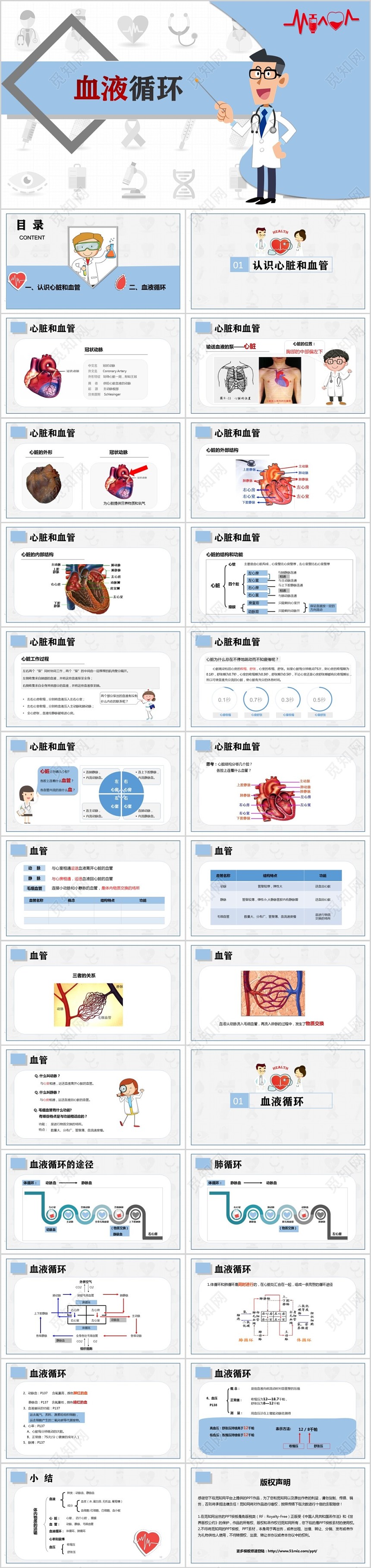 医疗简约风血液循环培训课件ppt模板